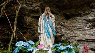 Imagem de Nossa Senhora de Lourdes Daniel Arantes Adobe Stock