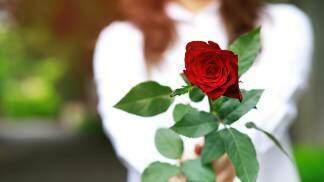 mulher segurando uma rosa