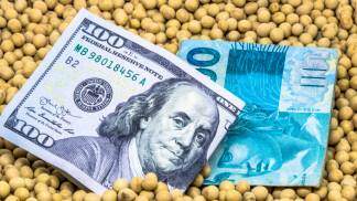 dólar e real sobre grãos de soja, conceito de impostos de importação, tarifaço