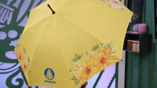 guarda-chuva_