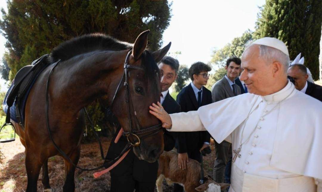 Reprodução/ Vatican Media