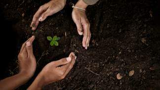 Laudato Si’ inspira biólogos a cuidarem da criação