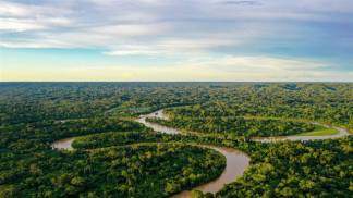 5 músicas para refletir sobre o Dia da Amazônia 