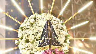 Nossa senhora no carro andor com rosas brancas e raios de luz