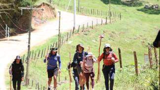 Peregrinos no Caminho da Fé 2026