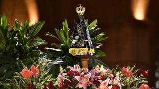 Nossa Senhora Aparecida rodeada de flores